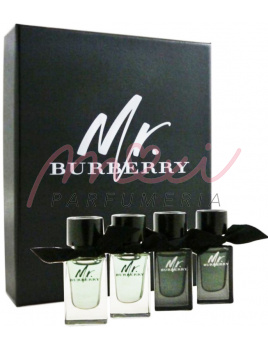 Burberry Mr. Burberry SET: 2x Mr. Burberry Parfumovaná voda 5ml + 2x Mr. Burberry Toaletná voda 5ml