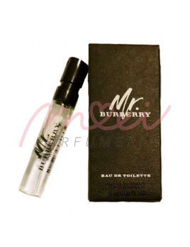 Burberry Mr. Burberry, EDP - Vzorka vône